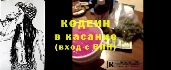 хмурый Сатка