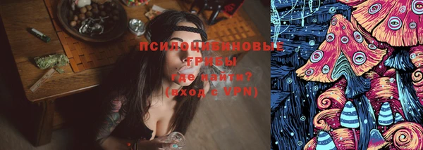 хмурый Сатка