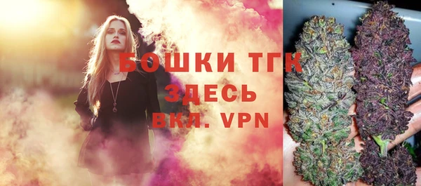 хмурый Сатка