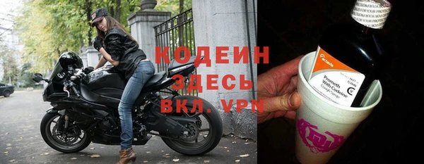 хмурый Сатка