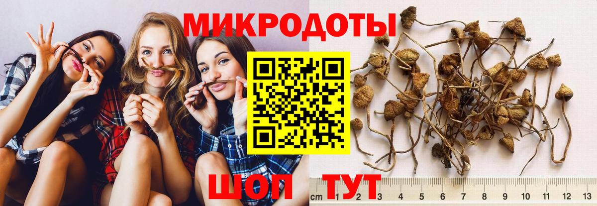 Галлюциногенные грибы Psilocybe  Вход с VPN  Ступино 
