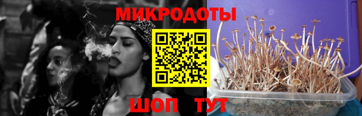 Псилоцибиновые грибы мицелий Ступино